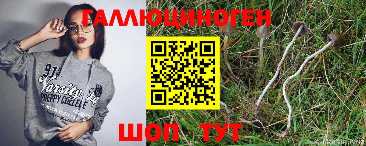 Галлюциногенные грибы Psilocybe  Псилоцибиновые грибы MAGIC MUSHROOMS  Минусинск  Вход с VPN 
